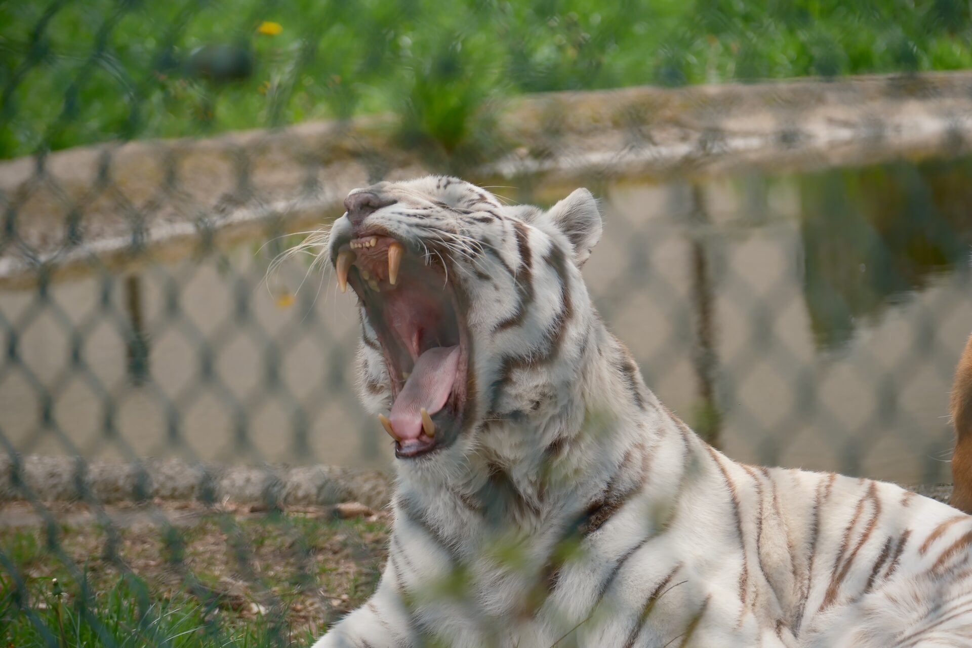Zoo & Tierpark – 2