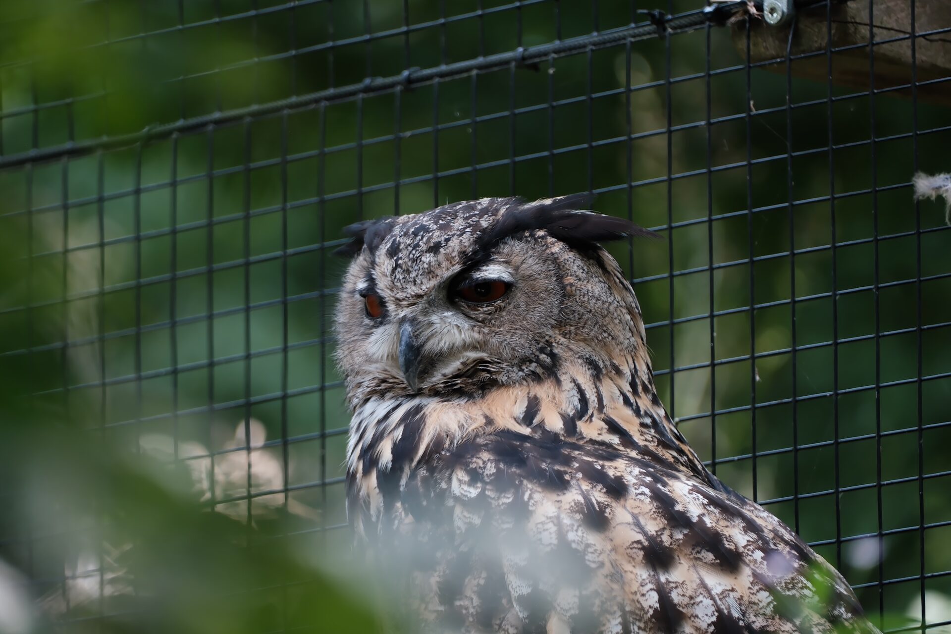 Zoo & Tierpark – 3