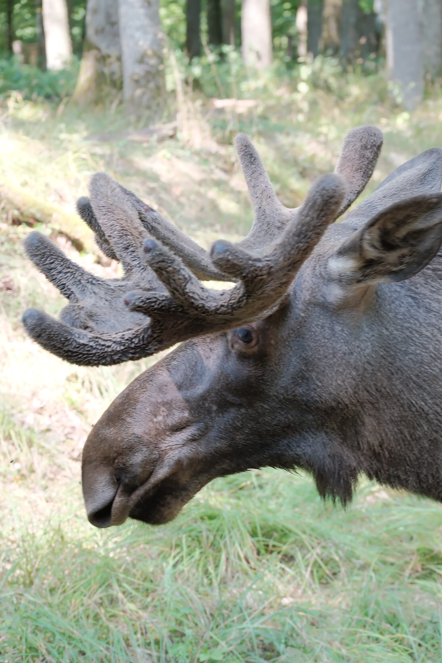 Zoo & Tierpark – 5