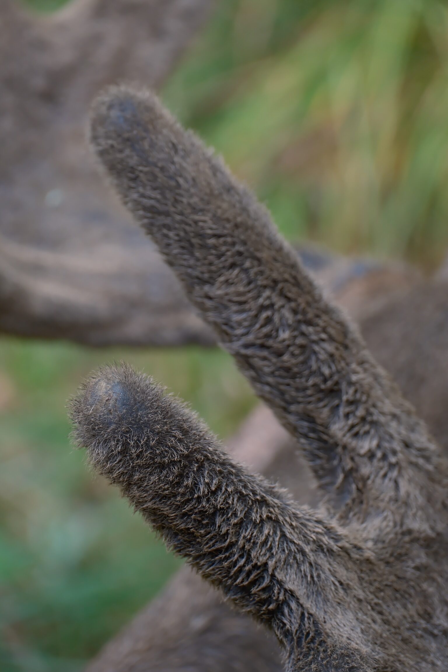 Zoo & Tierpark – 6