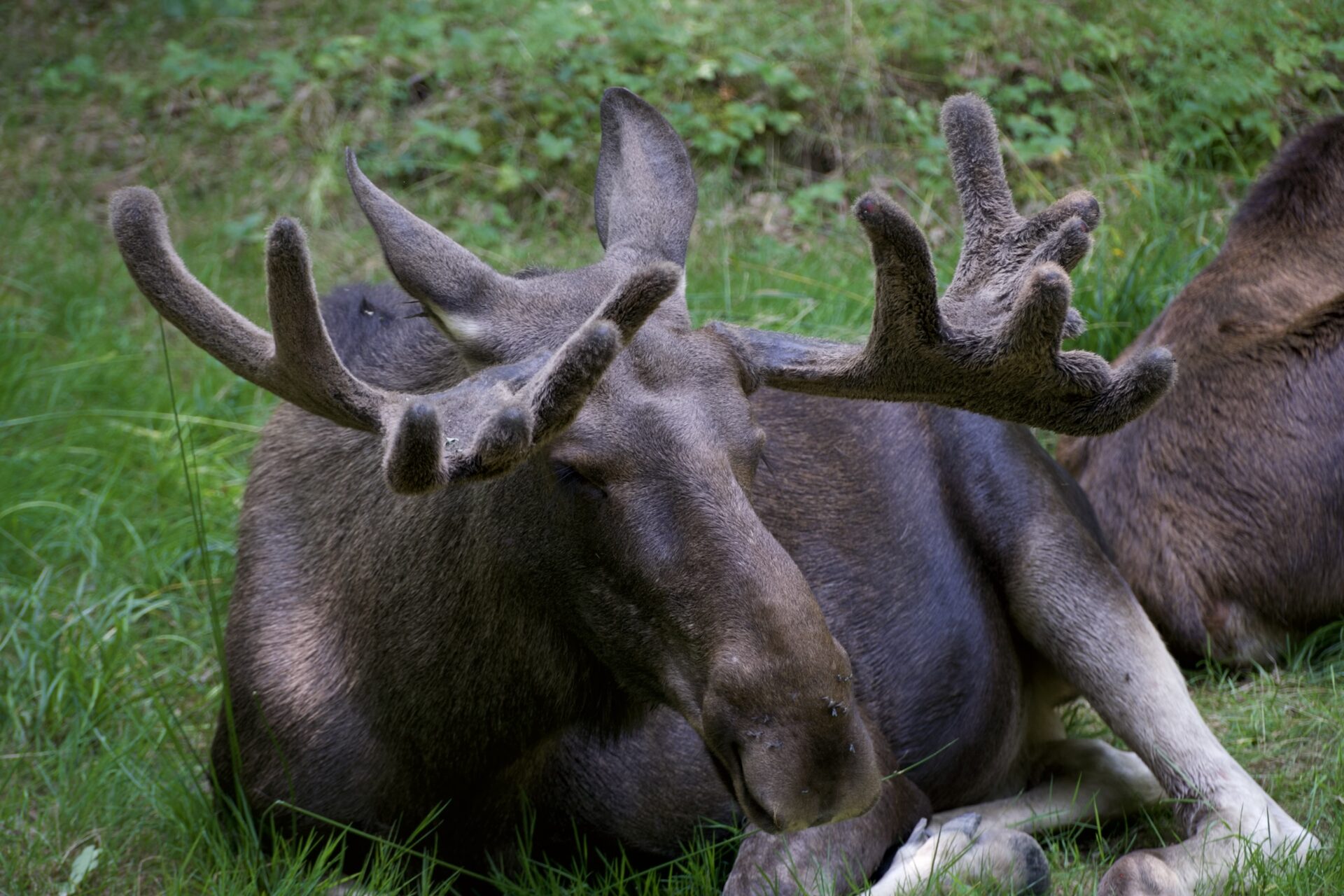 Zoo & Tierpark – 7