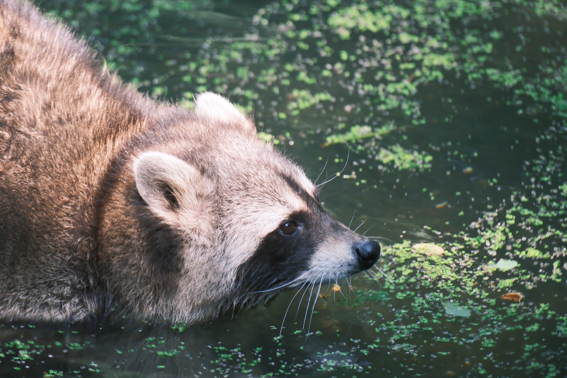Zoo & Tierpark – 12