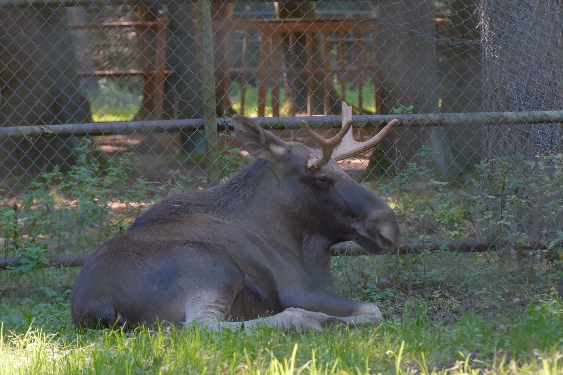 Zoo & Tierpark – 8