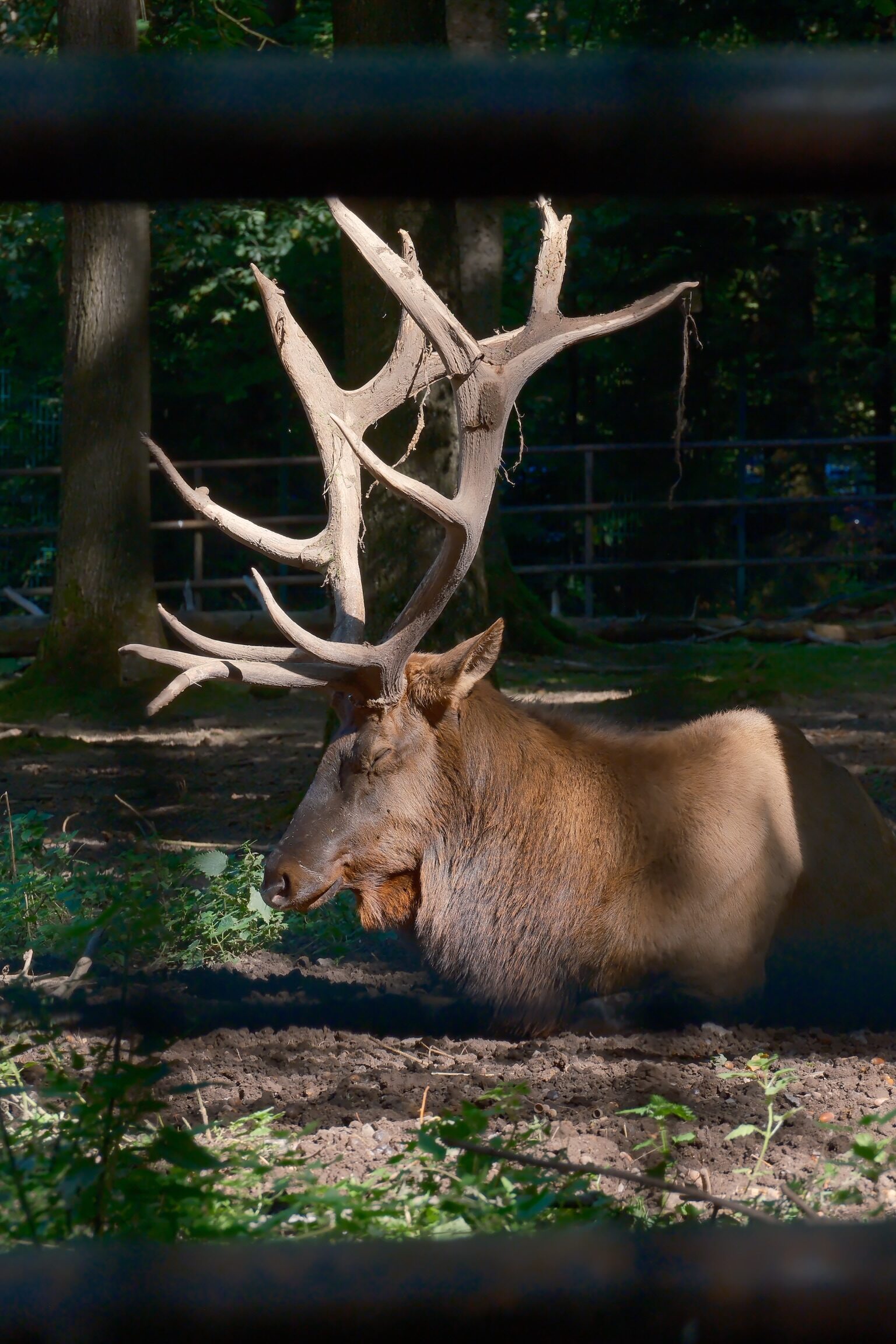 Zoo & Tierpark – 9