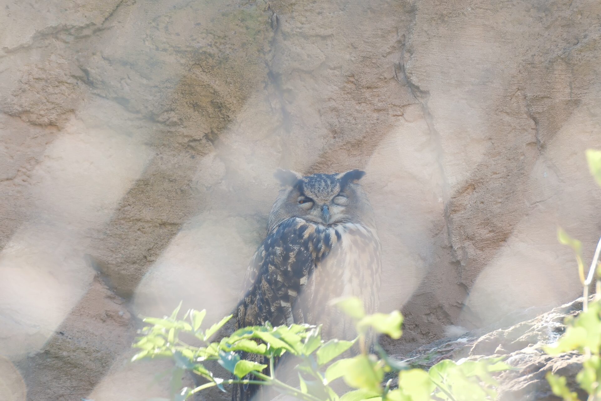 Zoo & Tierpark – 4